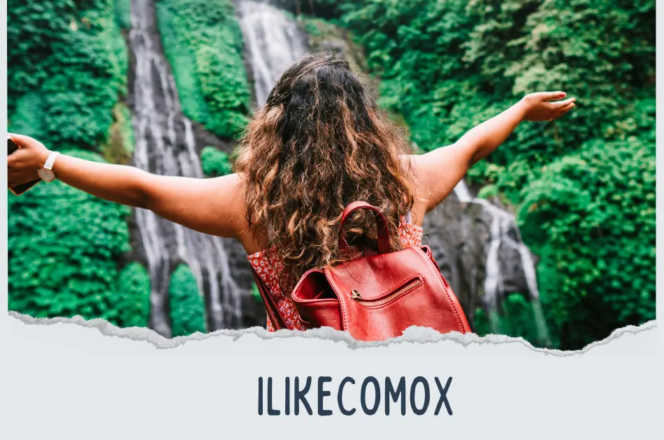 ILikeComox: Unlocking the Charms of Vancouver Island’s Coastal Gem ILikeComox